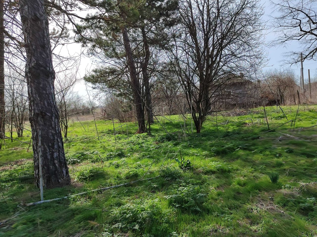 Продава се Къща в с. Владимирово, Област Добрич - 90 кв.м за 312 €/кв.м - Снимка #3