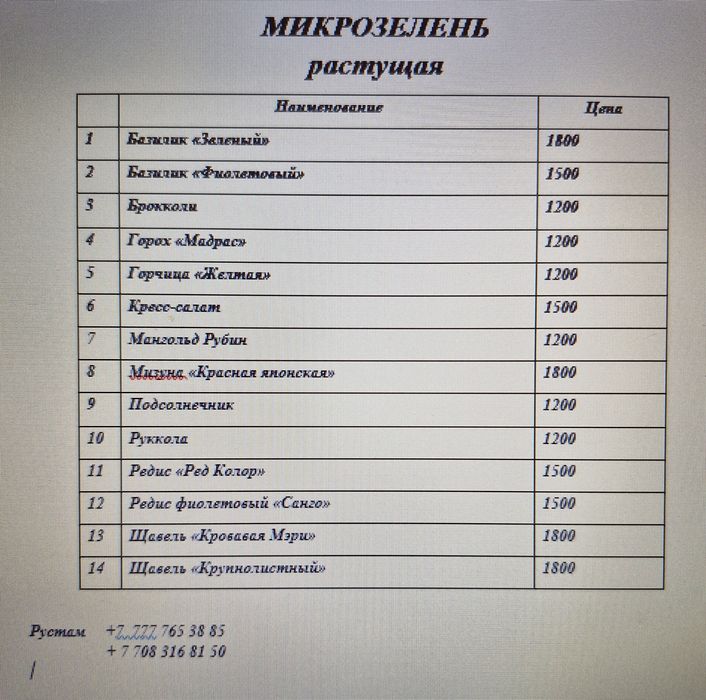 Растущая микрозелень