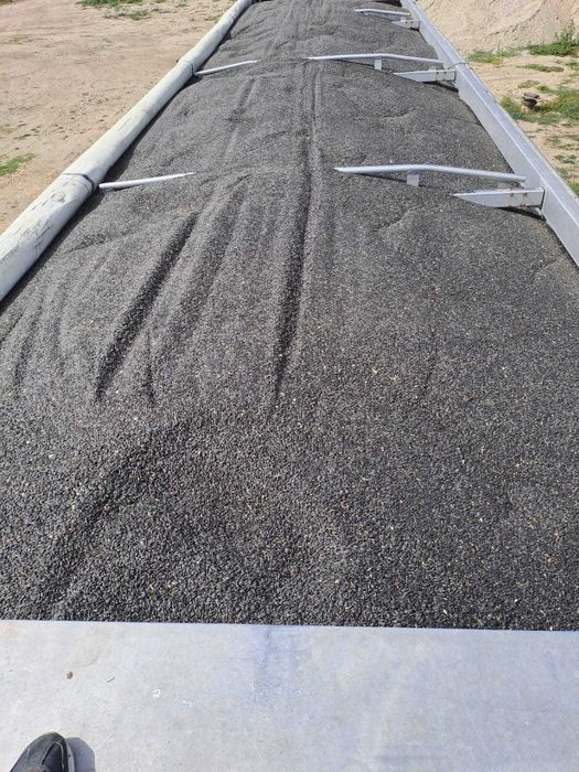 Vand porumb boabe si floarea soarelui Corabia