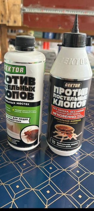 ТАРАКАН ДОРИ.     Tarakan dori