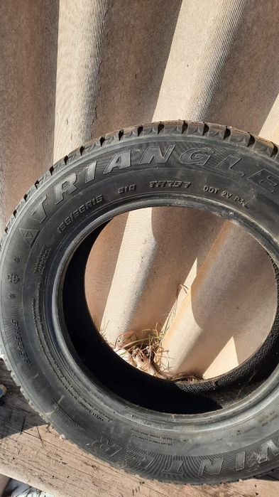 Зимние шины Triangle
