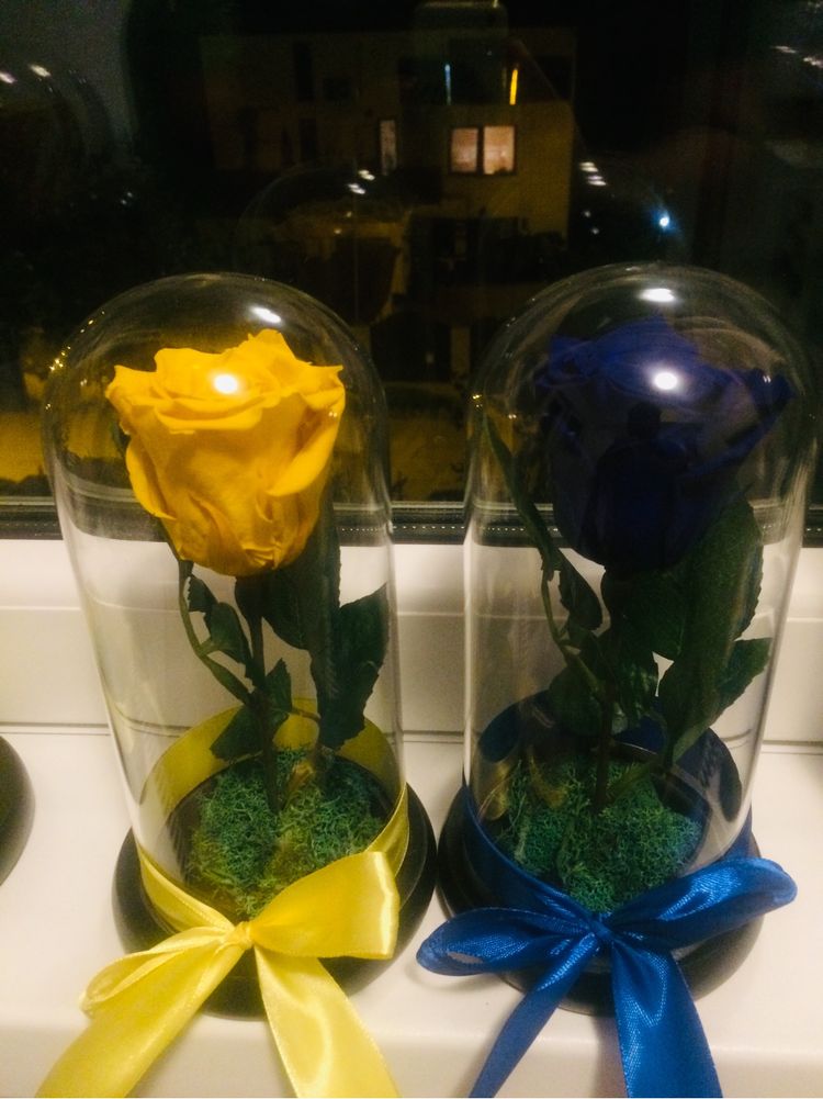 Trandafir conservat criogenat in cupola de sticla