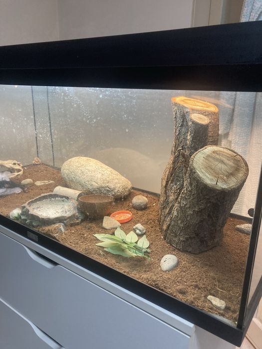 Acvariu/terrariu