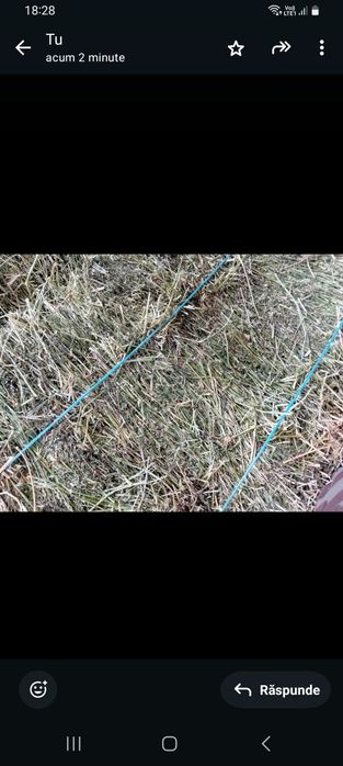 Baloți de lucernă 20 Lei