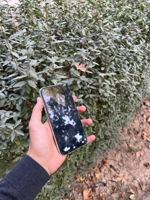 Iphone 11 ideal xolati