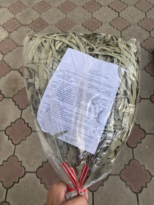 Эвкалиптовые веники для бани — продаются оптом и в розницу