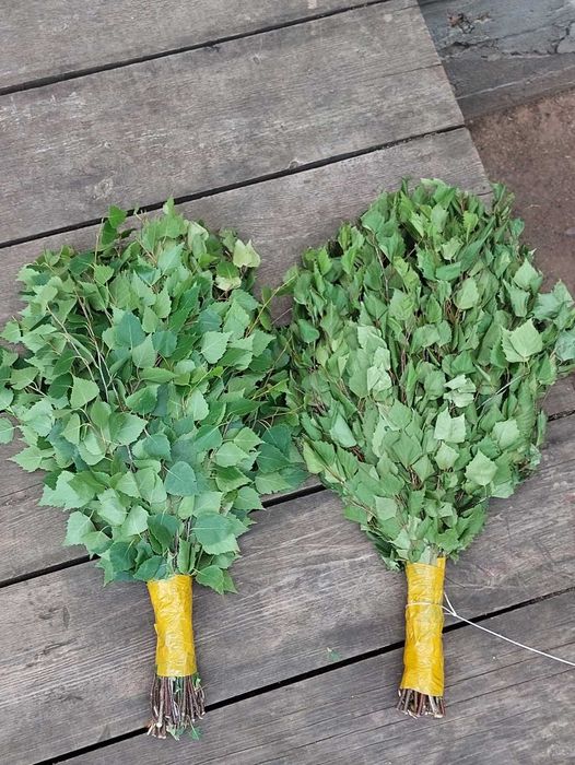 Берёзовые веники