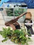 Vand Terariu Reptile
