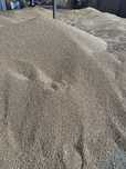 vand grau glosa c1