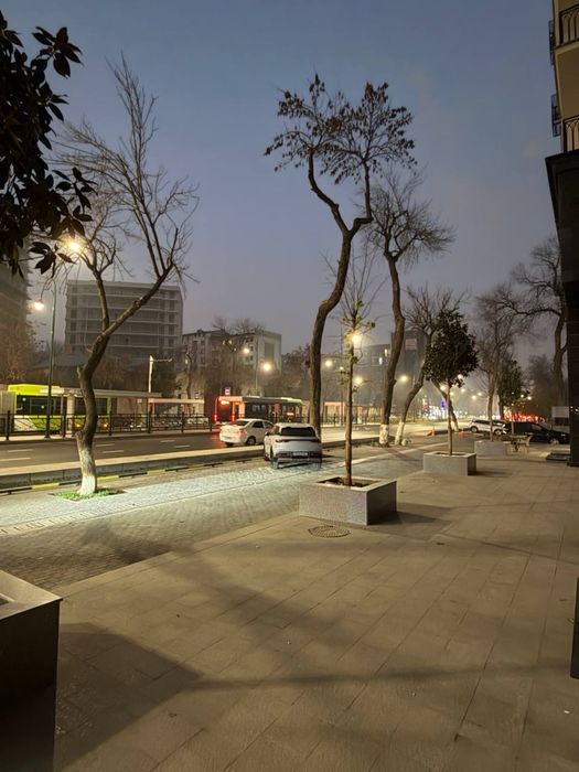 Нежилое Новостройка Шота Руставели “Shoshkent” 181 кв.м фасад 14 метр