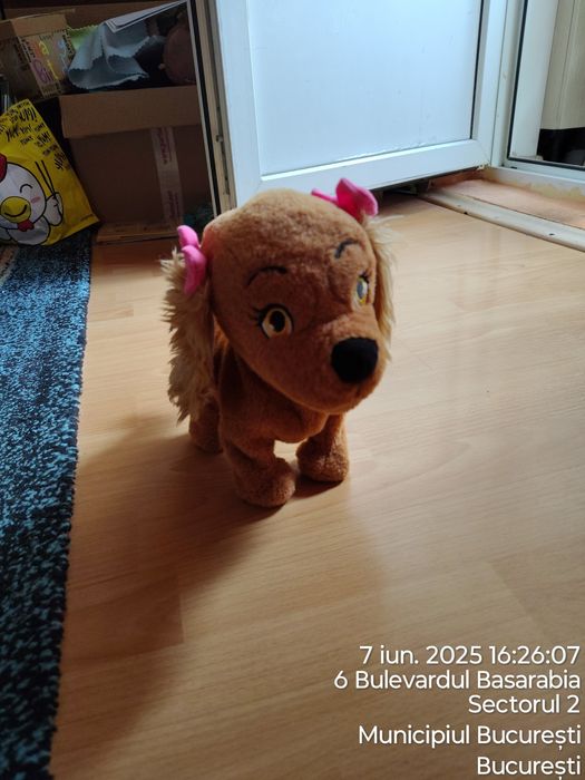 Câine interactiv