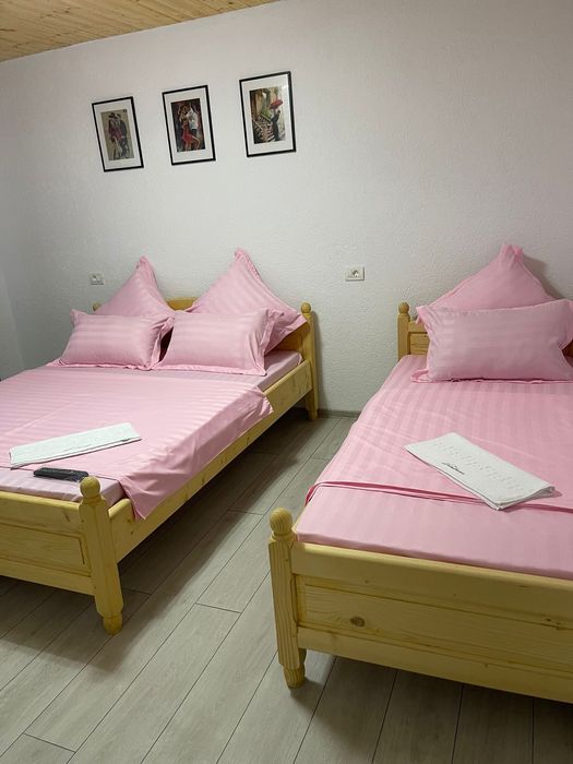 Cazare Casa Dumitrascu, disponibila de Craciun si Revelion,Ocnita