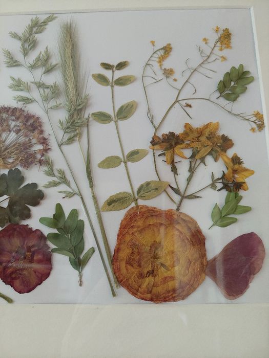 Tablou cu flori presate