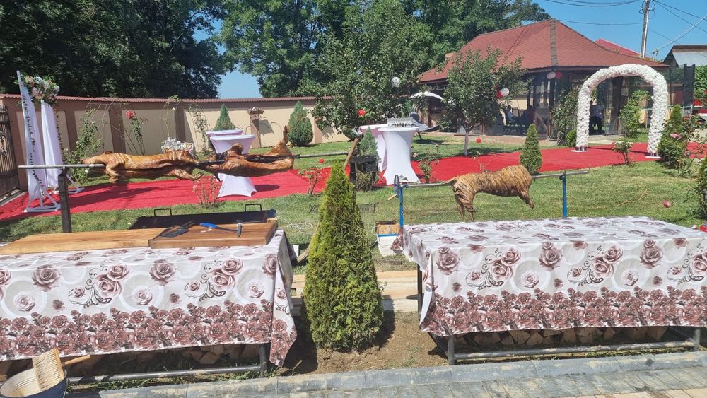 Corturi de închiriat și bucătar Dambovita
