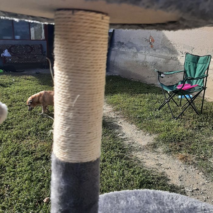 Ansamblu de joaca pentru pisici