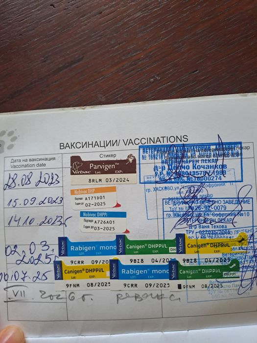 Продавам бял  померан на 2 години