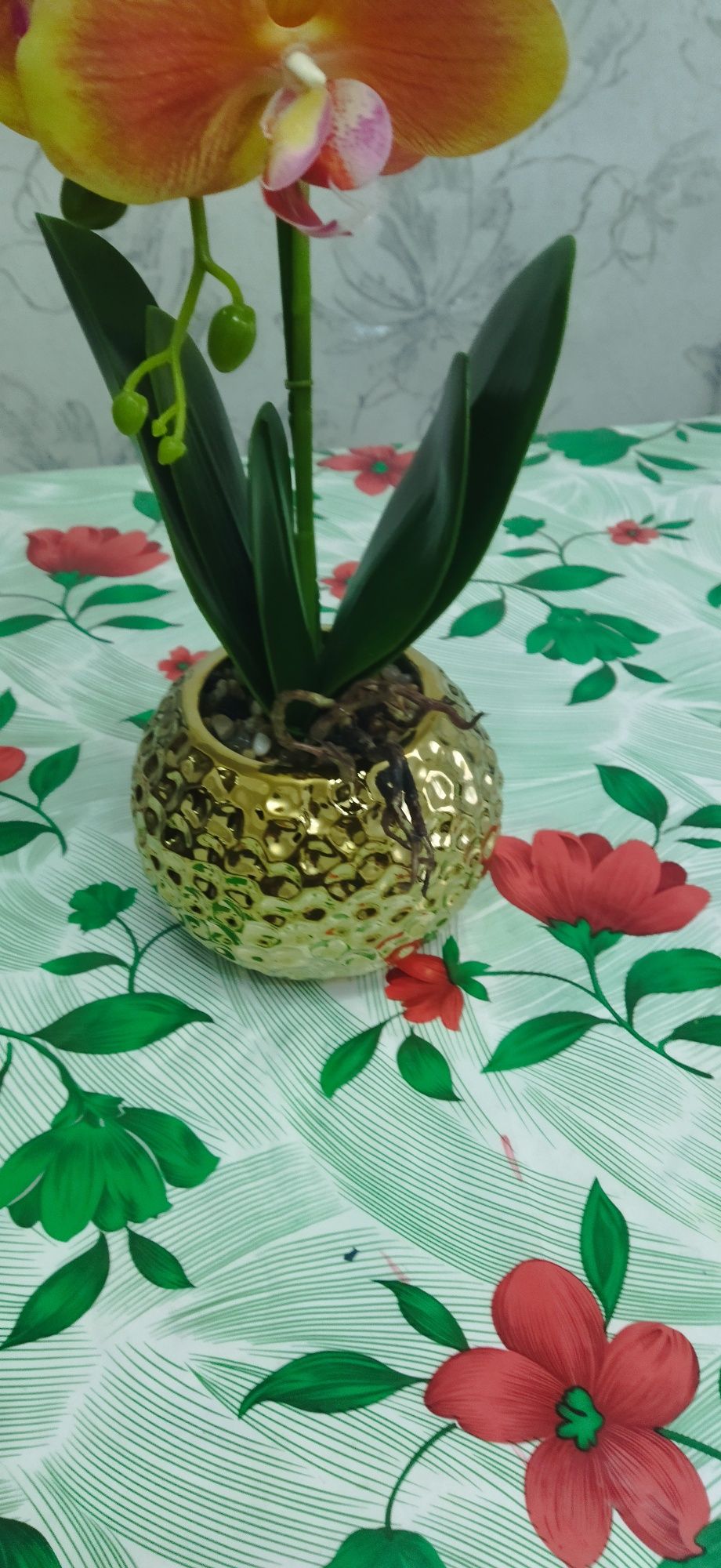 Прекрасный цветок Орхидея