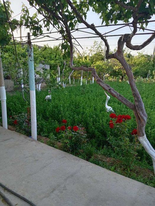 Zo‘r imkoniyat! tayyor 2 xonali uy va keng yer maydoni sotuvda.