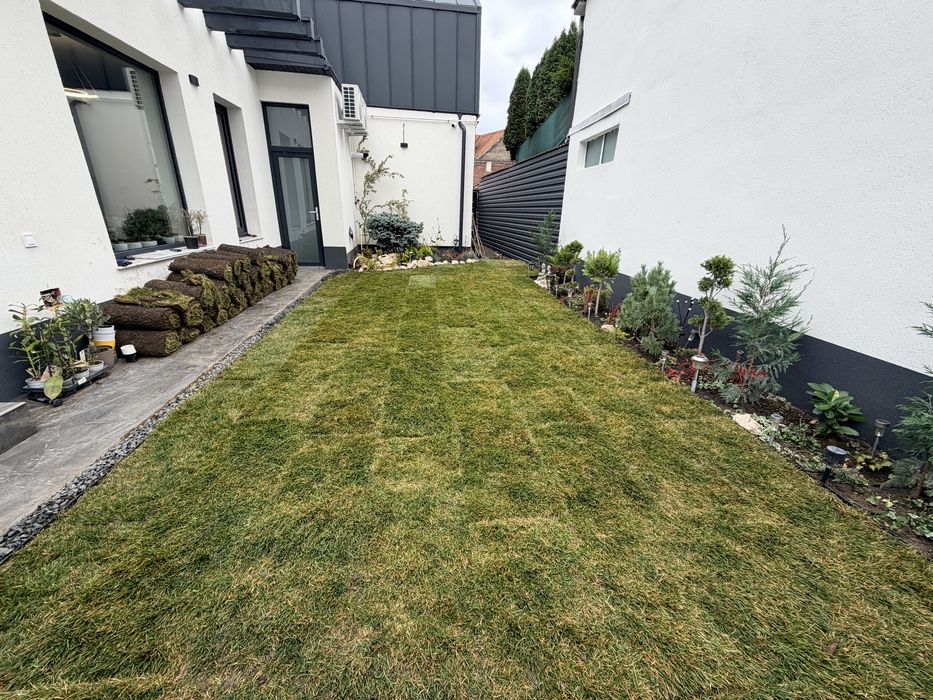 Gazon rulou proaspat recoltat