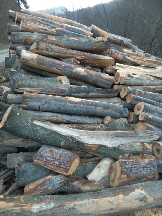 lemn de foc,diverse tari