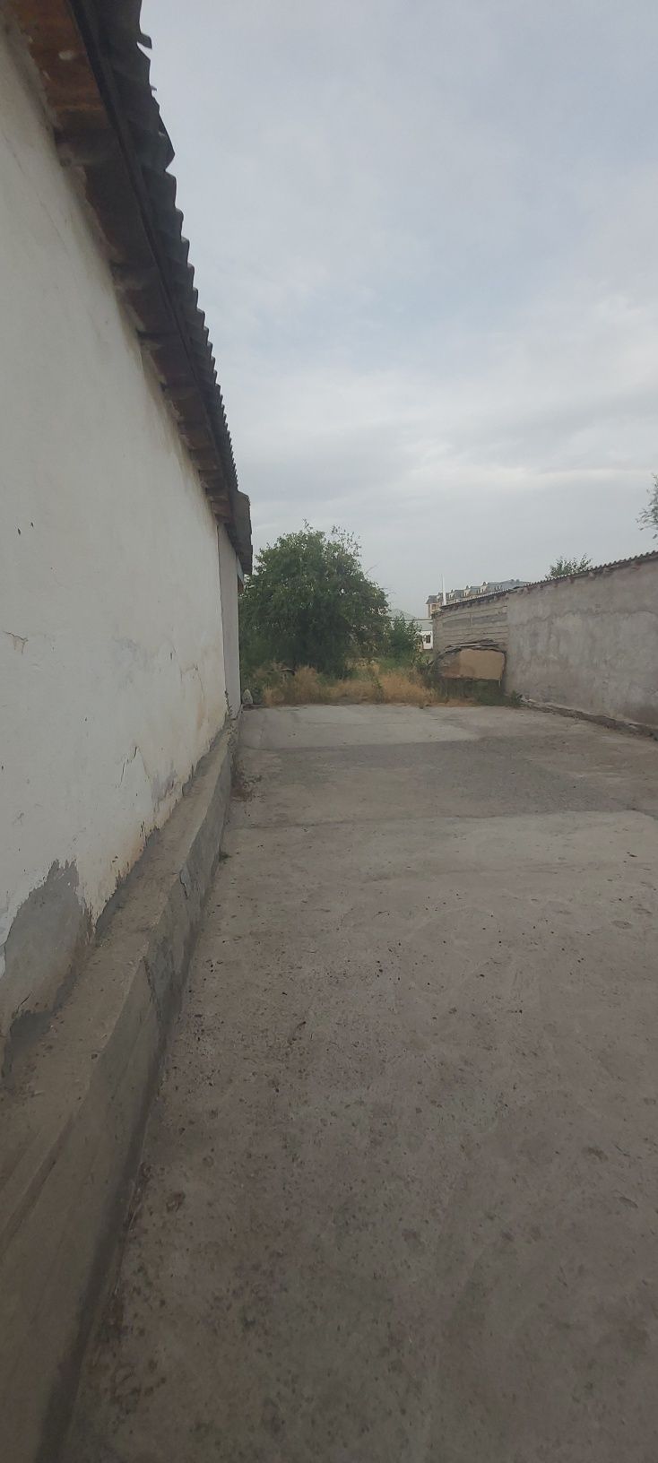 Уй ховли сотилади Гулистон шахар охунбобаевда