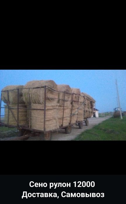 Продается сено доставка