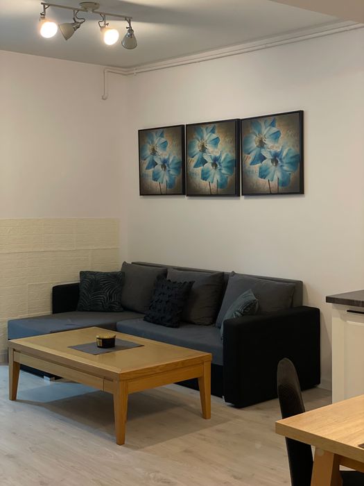 Apartament Cazare Regim Hotelier Lux Grozavesti - Regie Residence