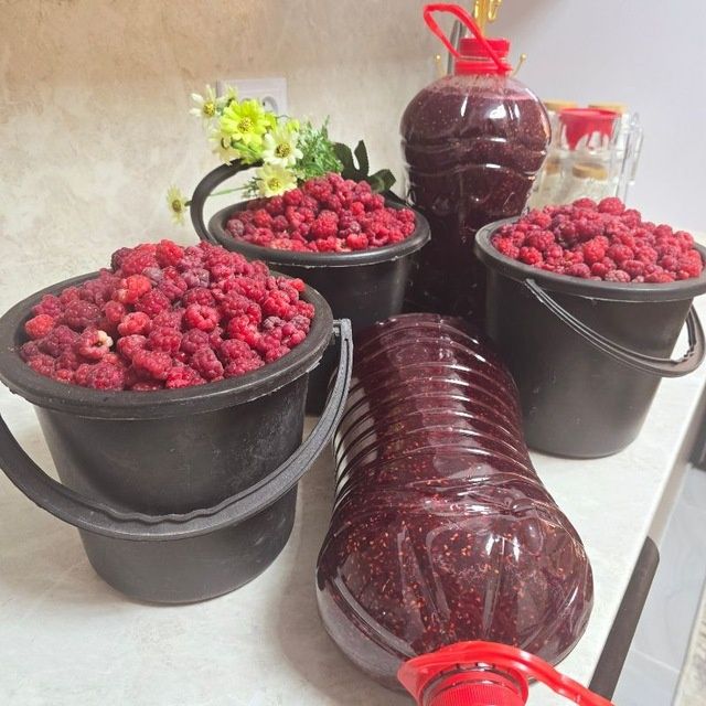 Малина вареньялар (қайнатилмаган)Свежий