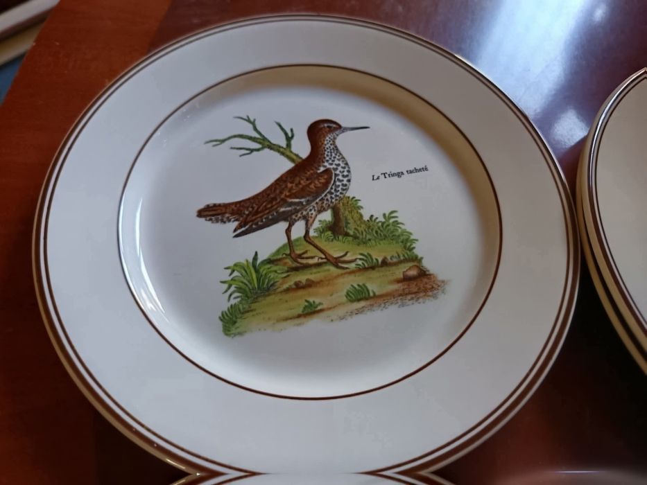 VILLEROY & BOCH Paradiso
Цена за всичко 135 лв. (69 €)
8 бр чинии (21с