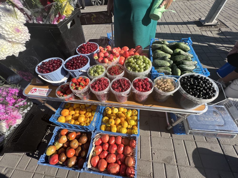 Продам черную СМОРОДИНУ садовую дачную ягоду,чисто эколог. овощи,цветы