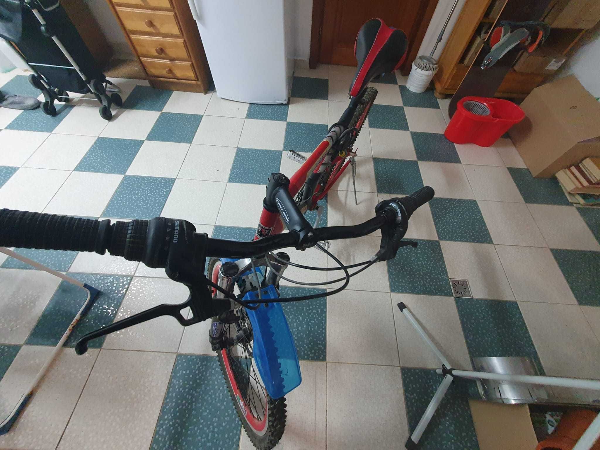 Bicicleta nefolosita