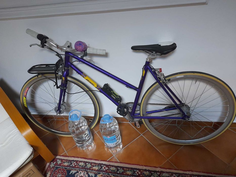 Pegas 3 speed inside, dinam in butuc