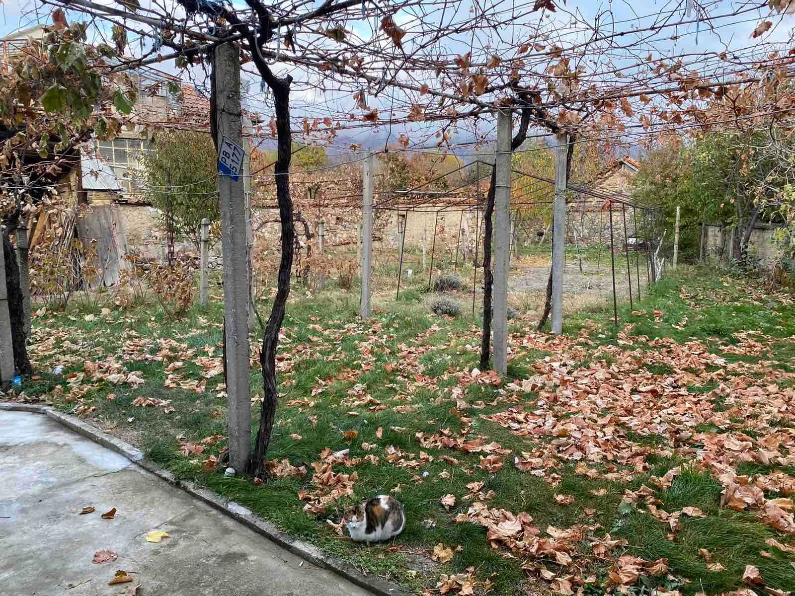 КЪЩА с двор 815 кв.м., село Певците
