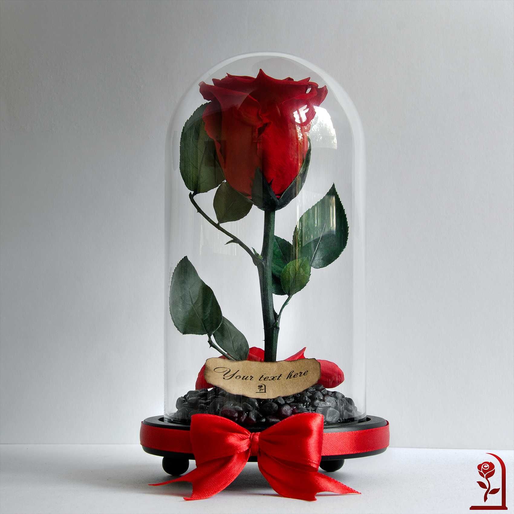 ЕСТЕСТВЕНА Вечна Роза в Стъкленица /  Подарък за Годишнина от Сватбата