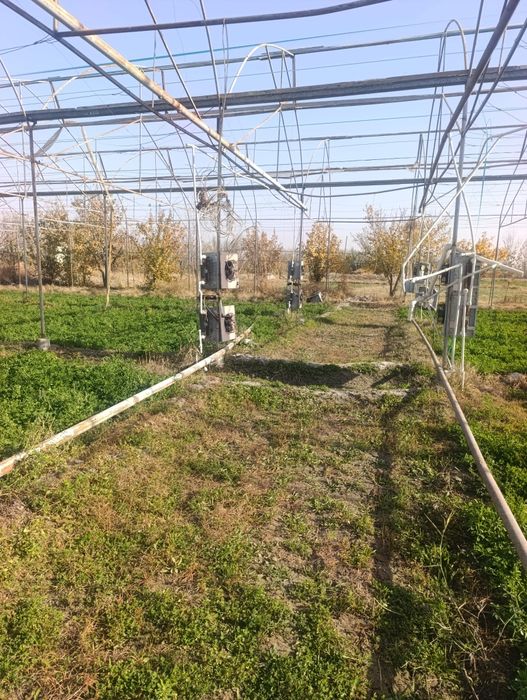 Келишилган холда