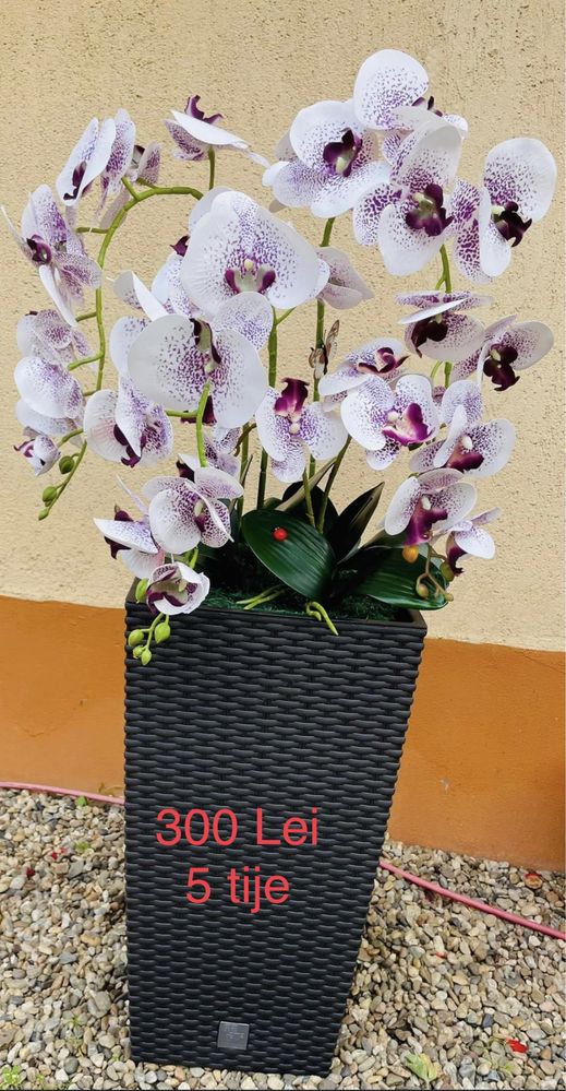 Orhidee silicon ( real touch ) / flori / aranjamente