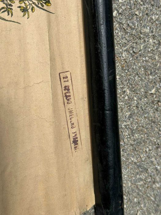 Соц Учебни Плакати Постери Ботаника