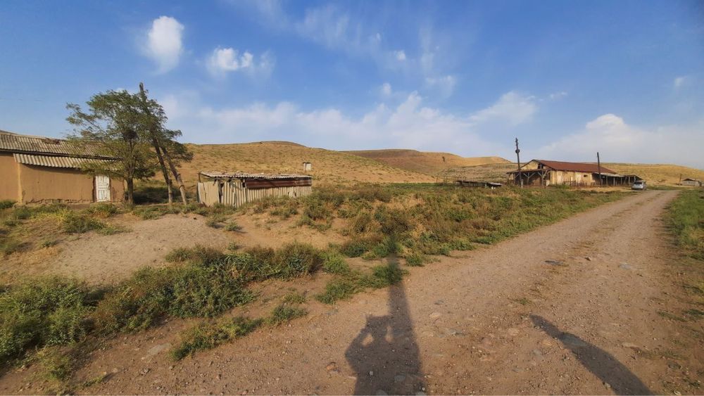 Продается большая ферма