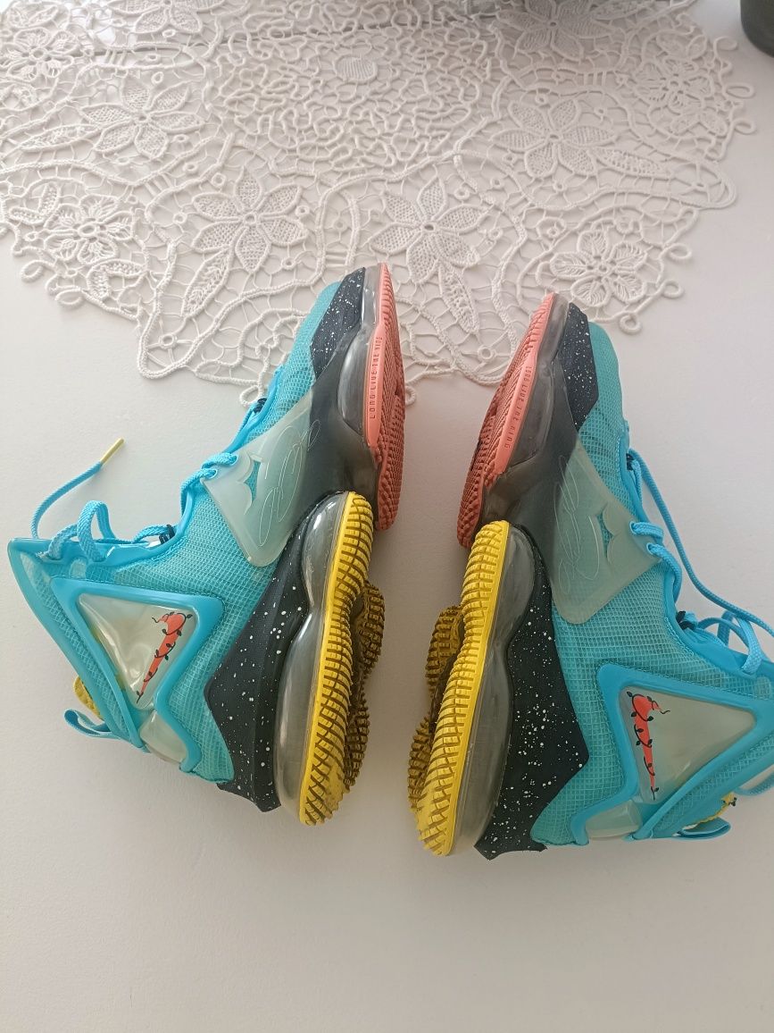 Vind Nike Lebron 19 in