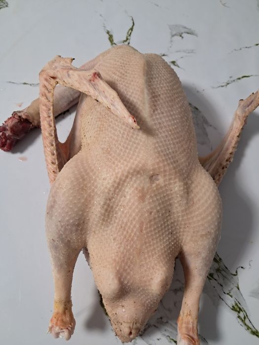 Гусинная тушка, молодняк