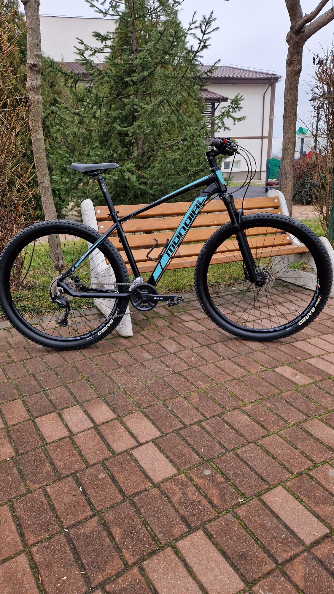 Bicicleta MTB 29" 2021