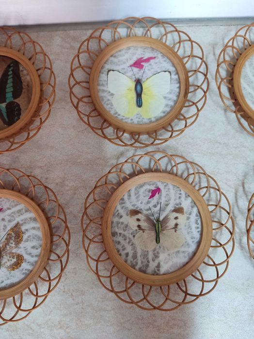 Set 6 suporti pentru pahare cu fluturi