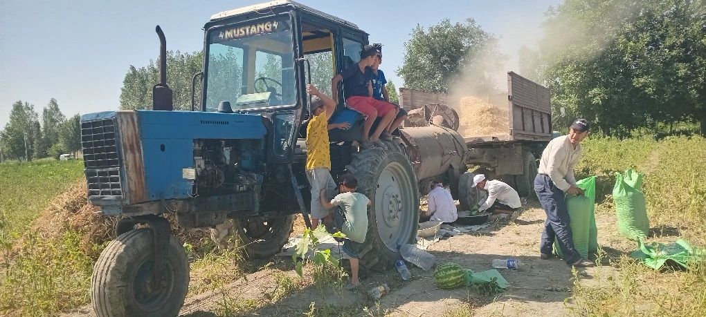 Беларусь мтз 80х