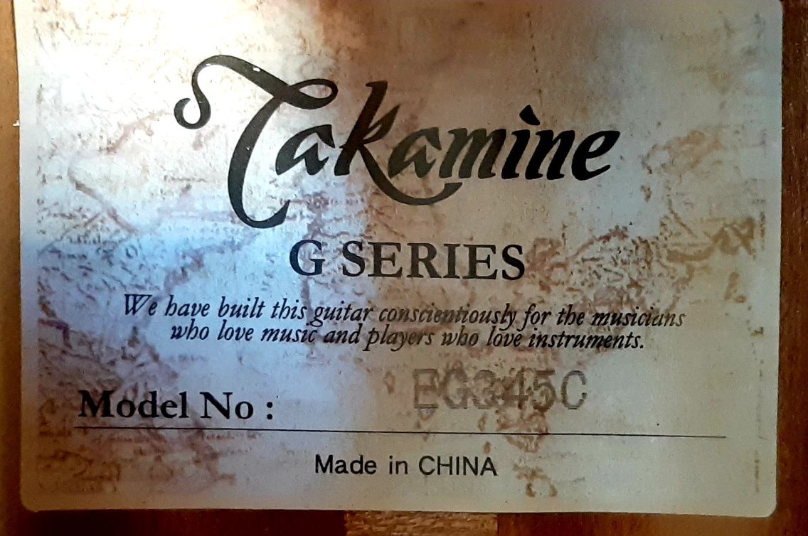 Ел.-акустична 12-струнна китара Takamine G Series с колан и куфар