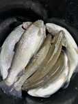Pastrav Curcubeu 200g  45lei/kg
