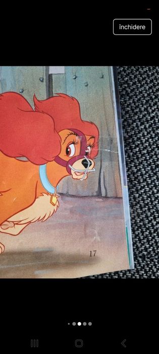 Doamna si vagabondul