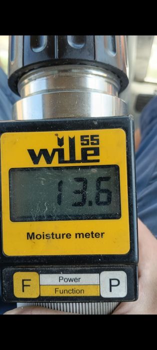 Vând grăunte uscate la uscator