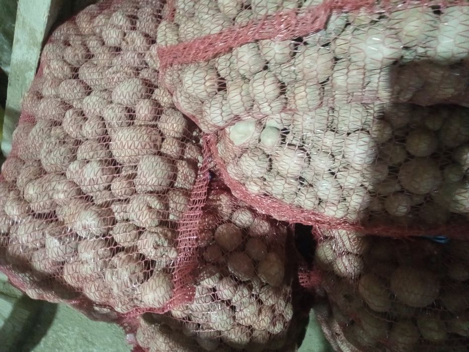 Cartofi pentru animale