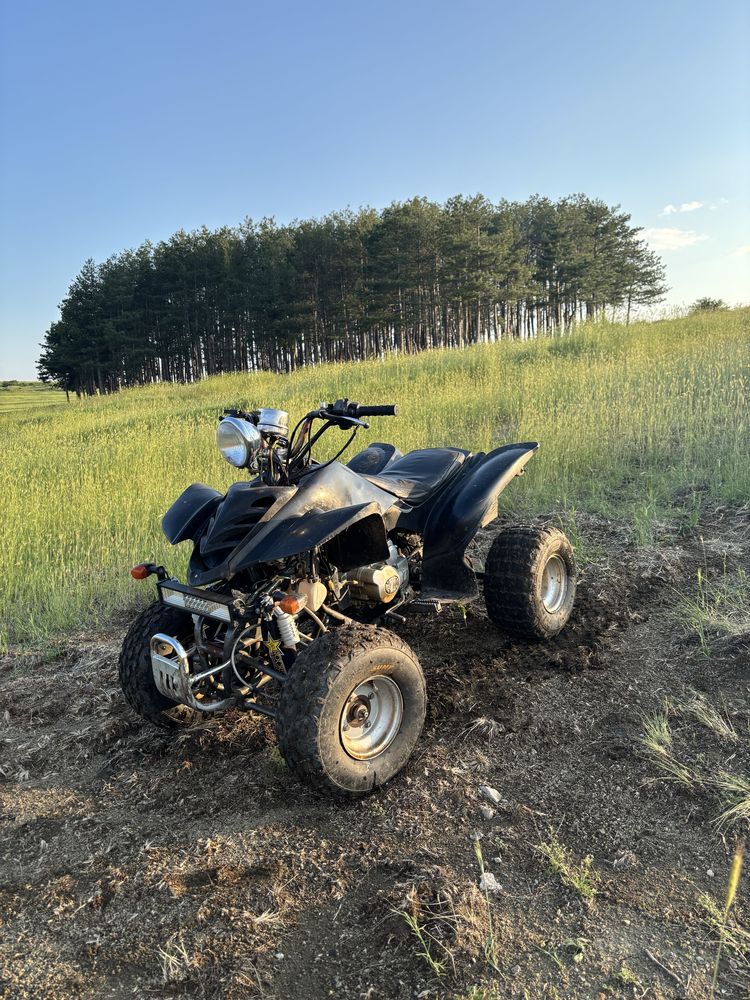 Atv 200cc Peidu lizard