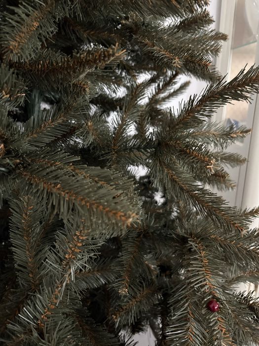 Brad artificial superb, stare ecepțională